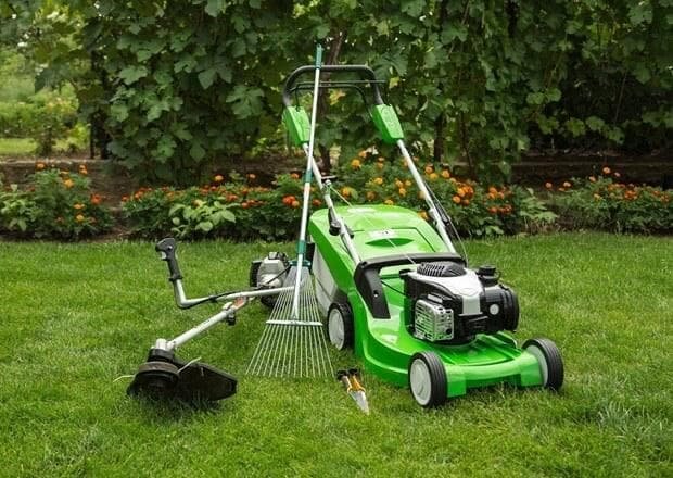 Infinite Green - Companie de peisagistica